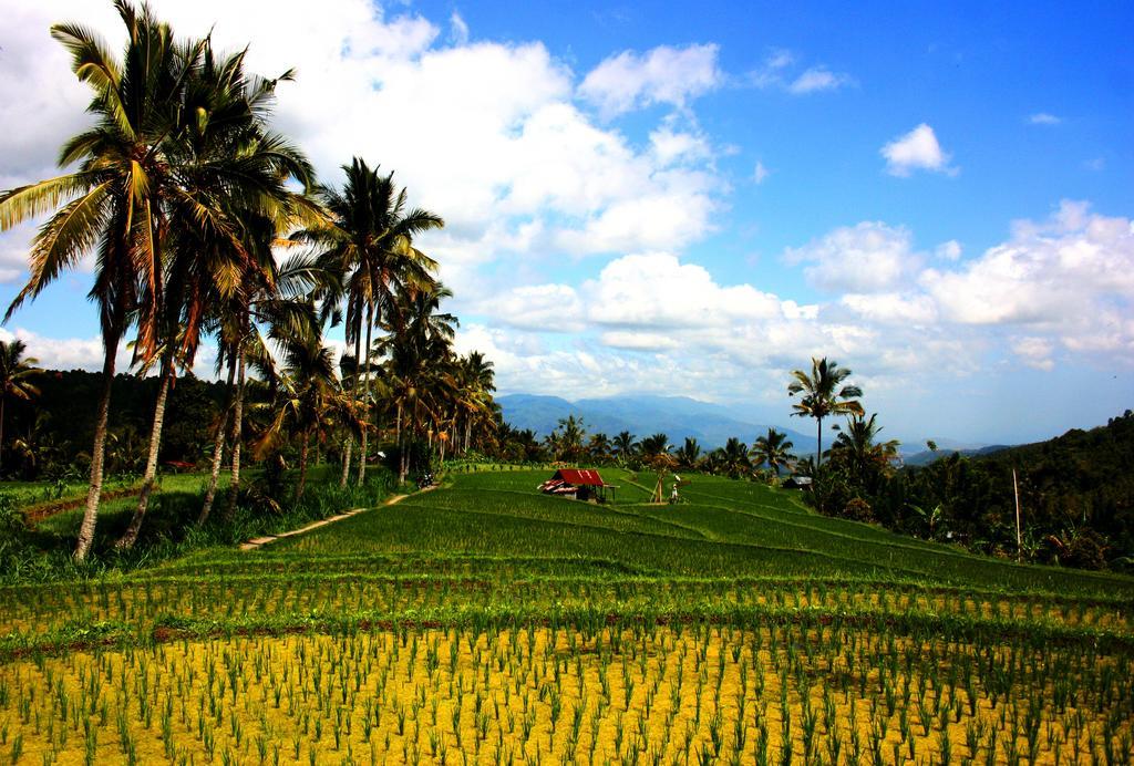Puri Alam Bali Hotel Munduk Exterior foto
