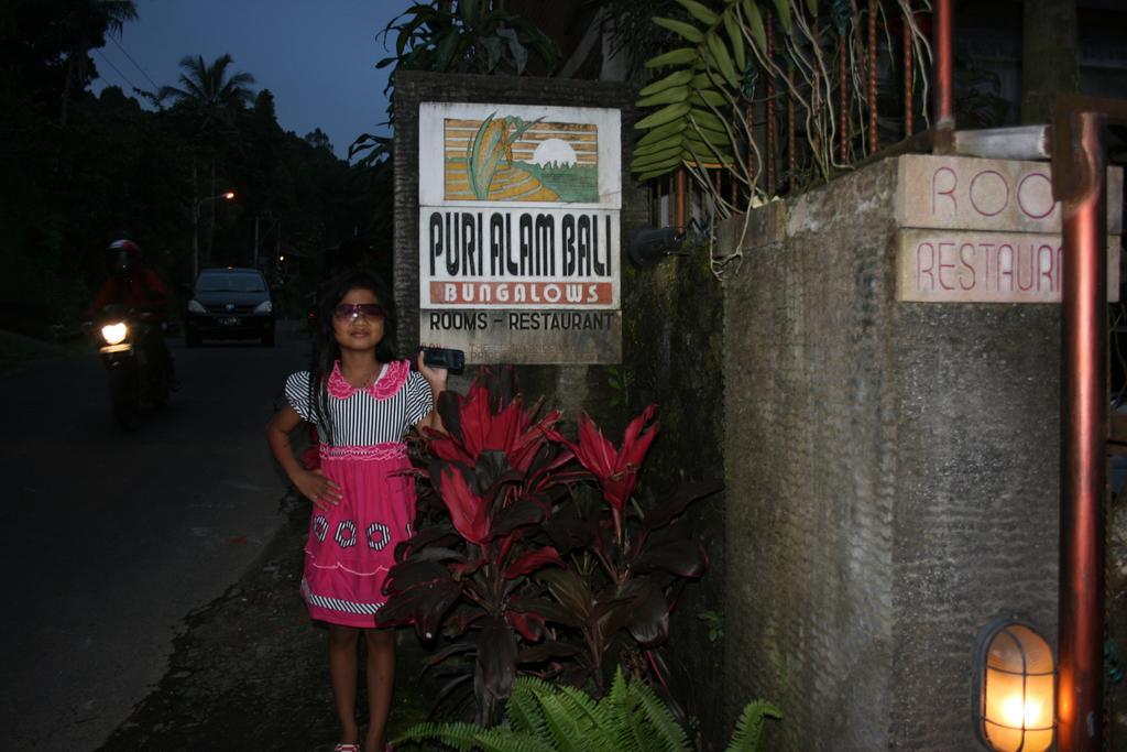 Puri Alam Bali Hotel Munduk Exterior foto
